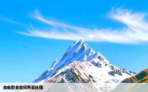 自由职业如何购买社保