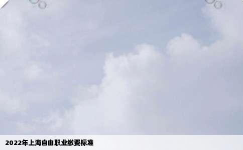 2022年上海自由职业缴费标准