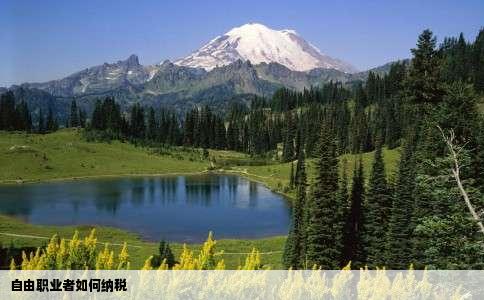 自由职业者如何纳税