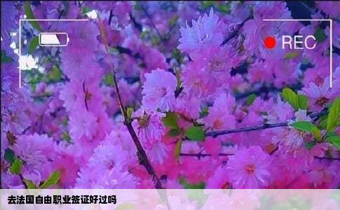 去法国自由职业签证好过吗