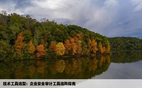 技术工具选型：企业安全审计工具选购指南