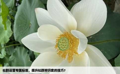 社群运营专属标签，提升社群辨识度的技巧？