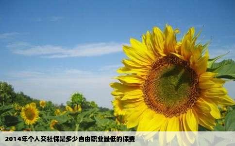 2014年个人交社保是多少自由职业最低的保费