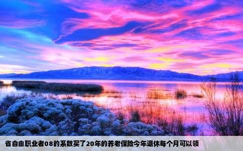 省自由职业者08的系数买了20年的养老保险今年退休每个月可以领