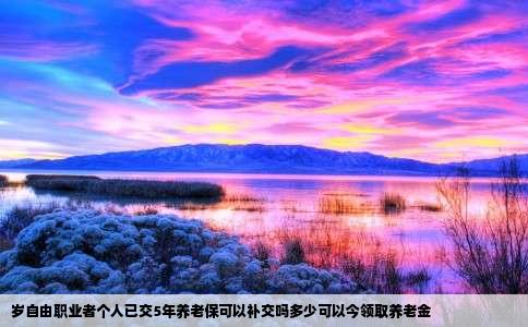 岁自由职业者个人已交5年养老保可以补交吗多少可以今领取养老金