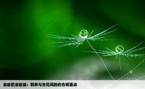 自由职业收益：税务与合同风险的合规要点