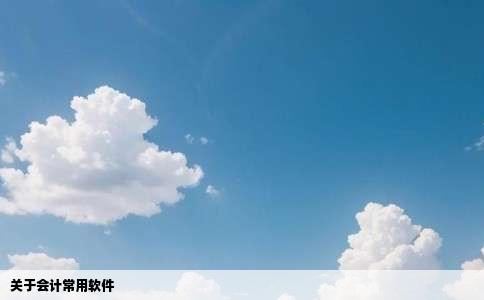 关于会计常用软件