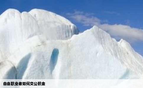 自由职业者如何交公积金
