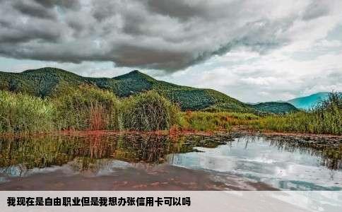 我现在是自由职业但是我想办张信用卡可以吗