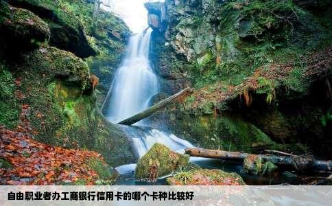 自由职业者办工商银行信用卡的哪个卡种比较好