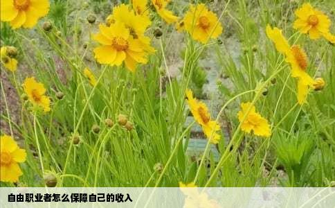 自由职业者怎么保障自己的收入