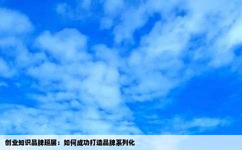创业知识品牌延展:如何成功打造品牌系列化