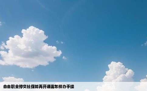 自由职业停交社保如再开通需怎样办手续
