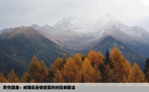 男性健康：戒烟后身体恢复的时间表解读