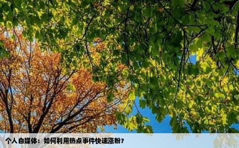 个人自媒体：如何利用热点事件快速涨粉？