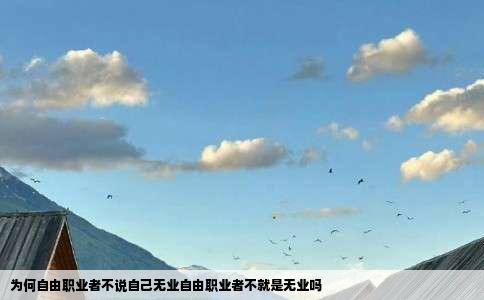 为何自由职业者不说自己无业自由职业者不就是无业吗