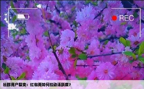 社群用户裂变：红包雨如何拉动活跃度？