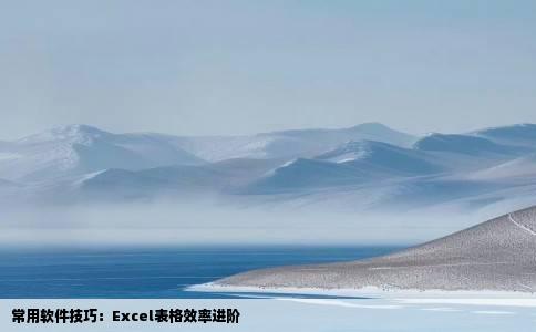 常用软件技巧：Excel表格效率进阶