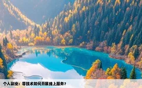 个人副业：零技术如何开展线上服务？