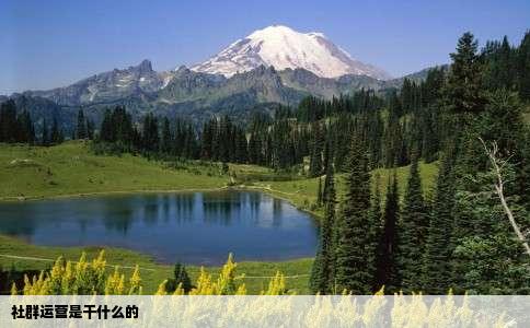 社群运营是干什么的