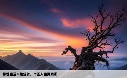 男性生活兴趣培养，丰富人生更精彩