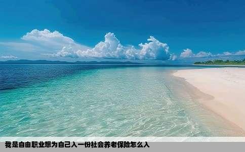 我是自由职业想为自己入一份社会养老保险怎么入