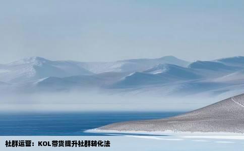 社群运营：KOL带货提升社群转化法