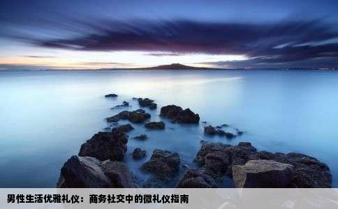 男性生活优雅礼仪：商务社交中的微礼仪指南
