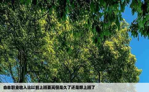 自由职业收入比以前上班要高但是久了还是想上班了