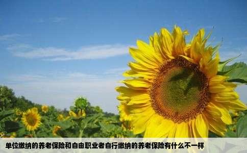 单位缴纳的养老保险和自由职业者自行缴纳的养老保险有什么不一样