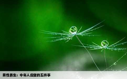 男性养生：中年人应做的五件事