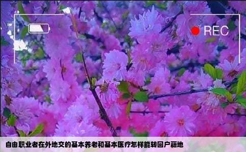 自由职业者在外地交的基本养老和基本医疗怎样能转回户藉地