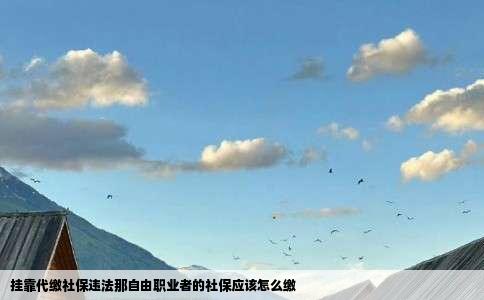 挂靠代缴社保违法那自由职业者的社保应该怎么缴