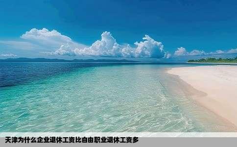 天津为什么企业退休工资比自由职业退休工资多