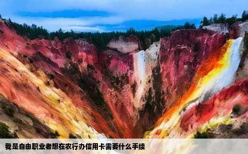 我是自由职业者想在农行办信用卡需要什么手续