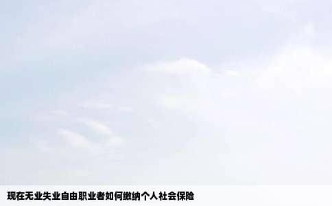现在无业失业自由职业者如何缴纳个人社会保险