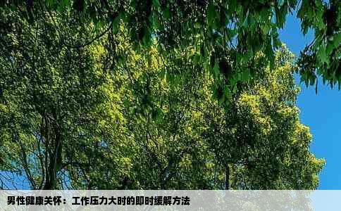 男性健康关怀：工作压力大时的即时缓解方法