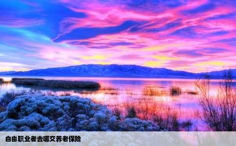 自由职业者去哪交养老保险