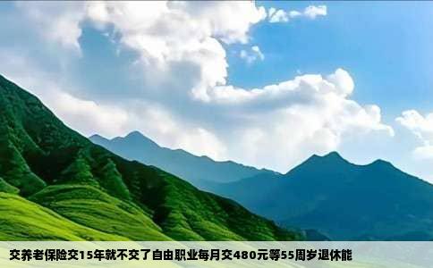 交养老保险交15年就不交了自由职业每月交480元等55周岁退休能