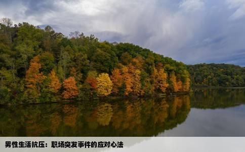 男性生活抗压：职场突发事件的应对心法
