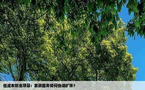 低成本创业项目：家政服务如何快速扩张？