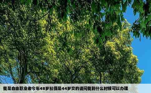 我是自由职业者今年48岁社保是44岁交的请问我到什么时候可以办理