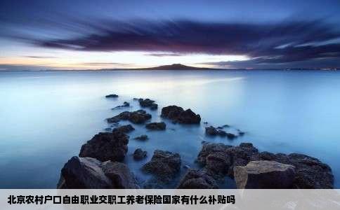 北京农村户口自由职业交职工养老保险国家有什么补贴吗