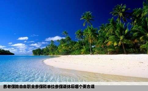 养老保险自由职业参保和单位参保退休后哪个更合适