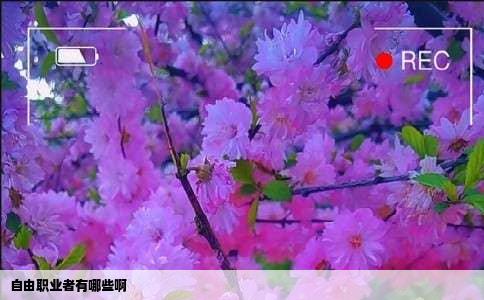 自由职业者有哪些啊