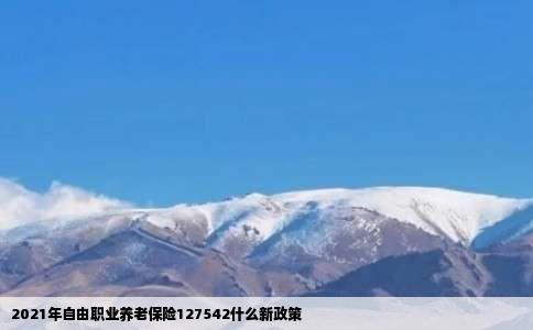 2021年自由职业养老保险127542什么新政策