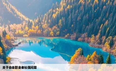 关于自由职业者社保问题