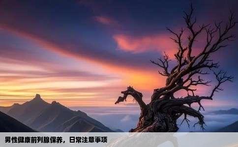 男性健康前列腺保养,日常注意事项