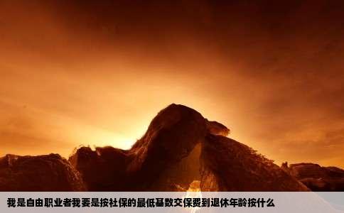 我是自由职业者我要是按社保的最低基数交保费到退休年龄按什么