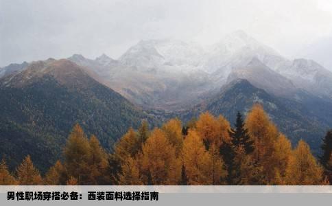 男性职场穿搭必备：西装面料选择指南